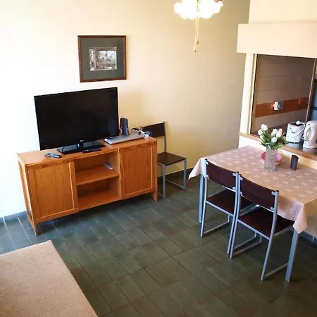 Optimist Tenerife * 플라야데라스아메리카스